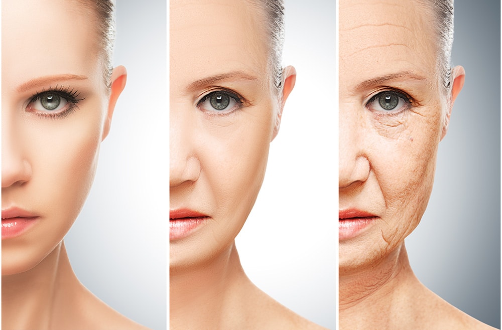 The Secret to Graceful Aging: Treat Your Telomeres with Love